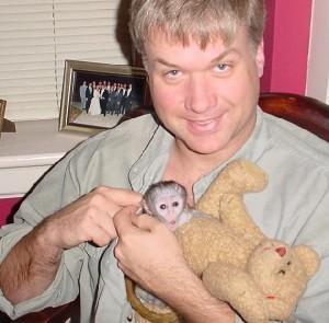 Kapuziner Affe zum Verkauf