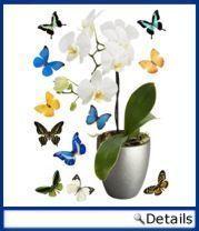 Wandsticker Blume / Schmetterling