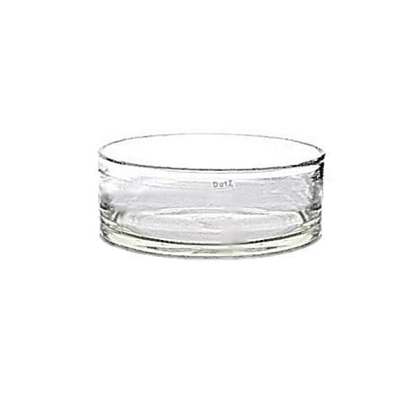 ProPassione DutZ®-Collection Glasschale Cylinder, H 8 x Ø 18 cm, Farbe: Klar