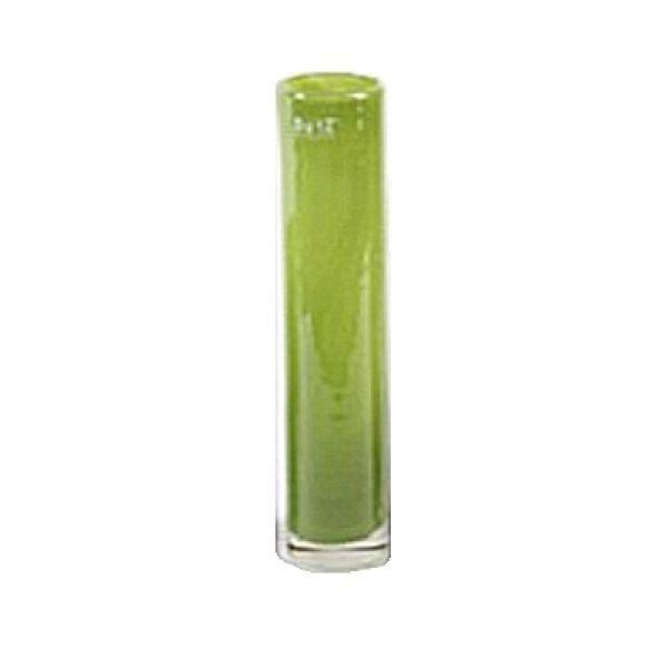 ProPassione DutZ®-Collection Vase Cylinder, schlank, H 30  x  Ø 6 cm, Farbe: Grün