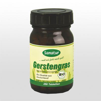 (Bio) Gestengras - Der Chlorophyll-Cocktail für einen klaren Kopf 250 Tabletten
