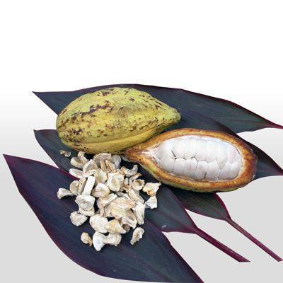 Bio Trockenfrüchte Kakaobohnen mit Fruchtfleisch kbA 500 g