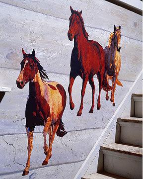Sticker Aufkleber Wandbild Pferde
