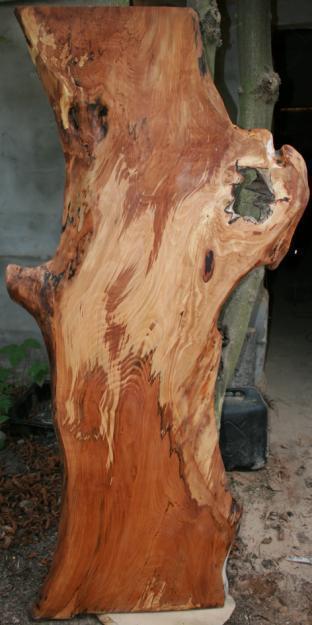 Baumscheibe / Arbeitsplatte aus Massivholz